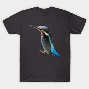 A Turquoise Blue Eurasian Bird Vector Cut Out T-Shirt